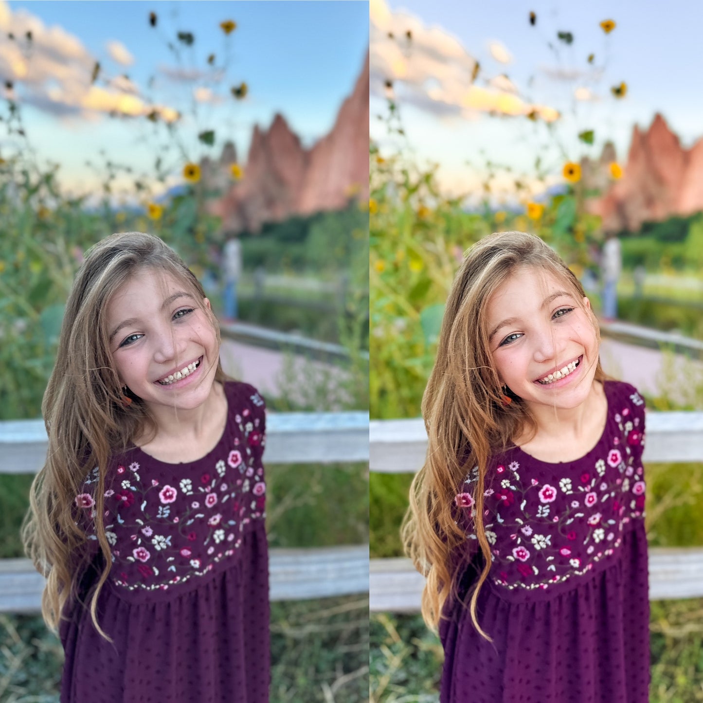 Salt and Earth Mobile Presets