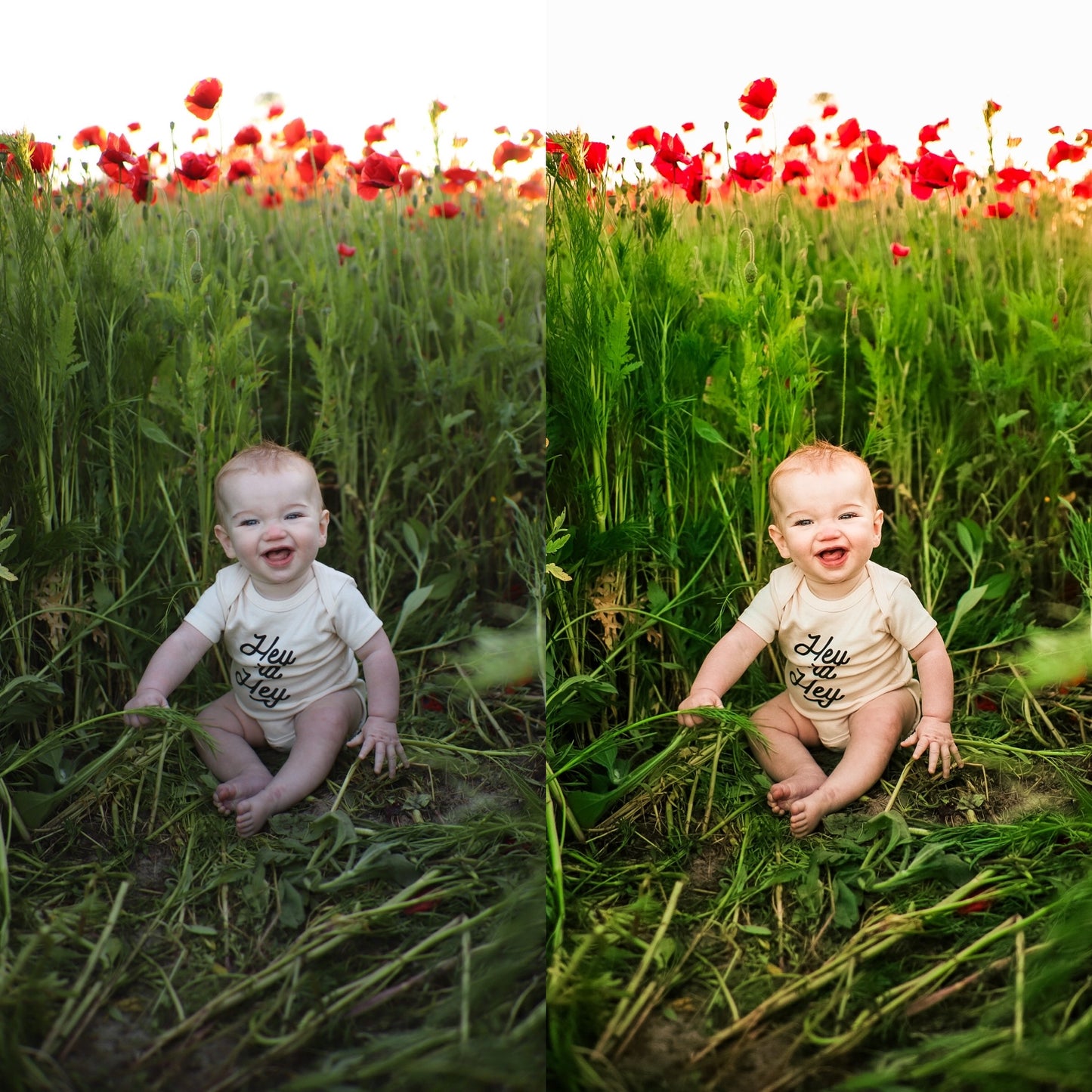 Salt and Earth Mobile Presets