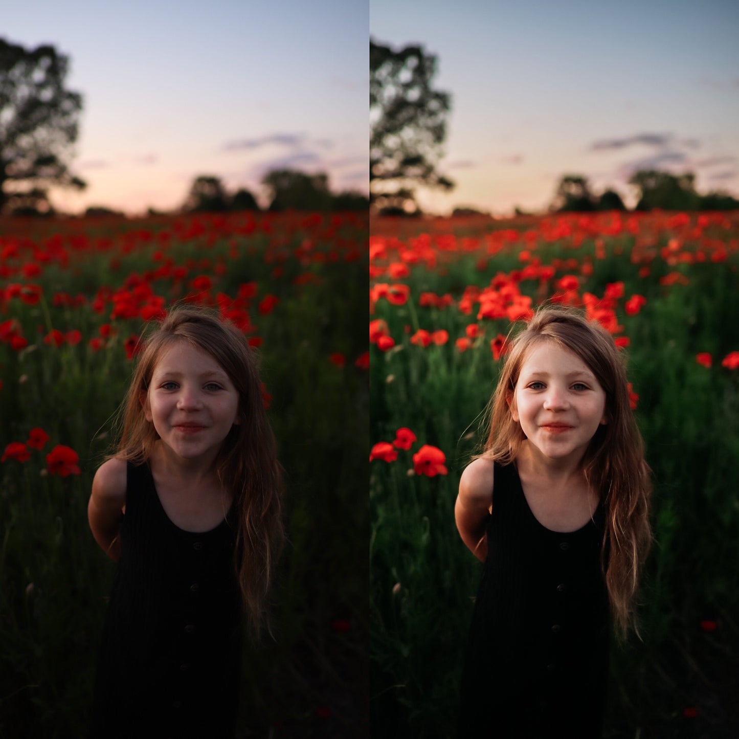 Salt and Earth Mobile Presets