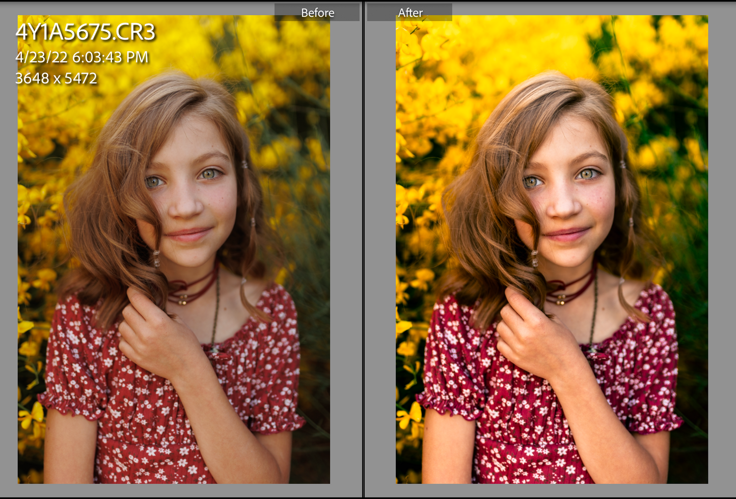 Salt and Earth Presets