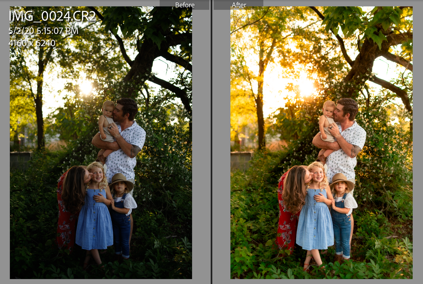 Salt and Earth Presets